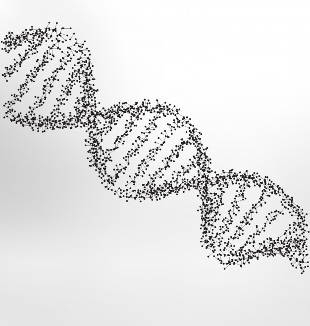 image illustrating genetics